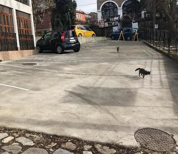 Family Varusha 2 Otel *